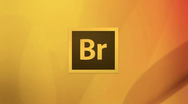 Adobe Bridge