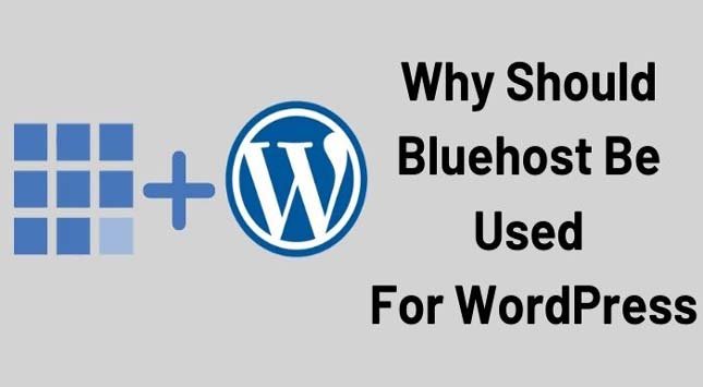 Why Should Bluehost Be Used For WordPress