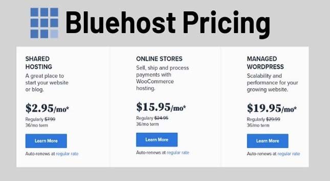 Bluehost Pricing