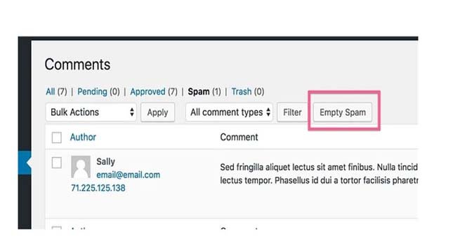 Delete Spam Comments