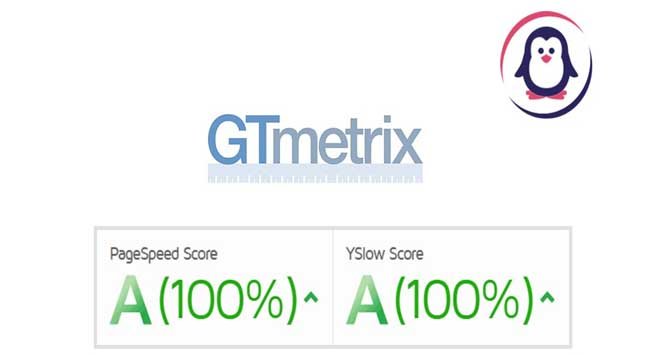 GTMetrix