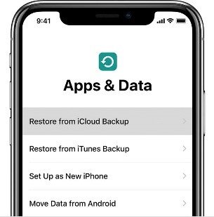 Restore from iCloud Backup