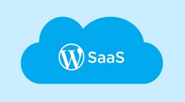 SaaS Using WordPress