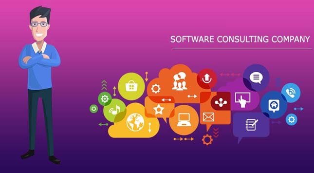 Software Consulting Company