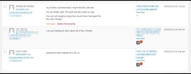 Spam Comments on WordPress